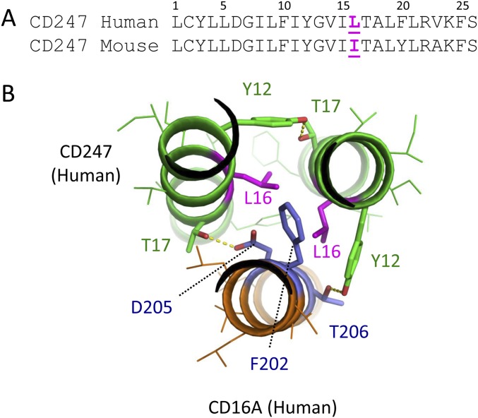 Fig. S5.