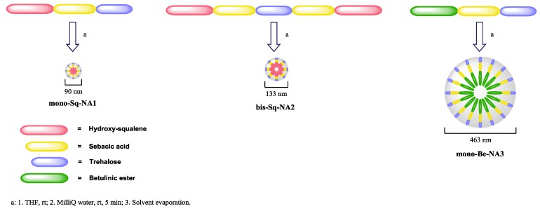 Scheme 6