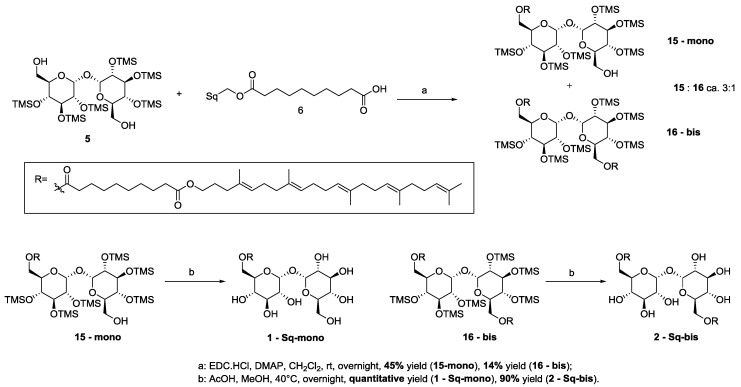 Scheme 3