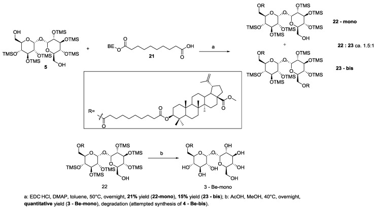 Scheme 5