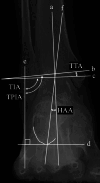 Fig. 4