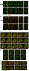 Fig. 4.