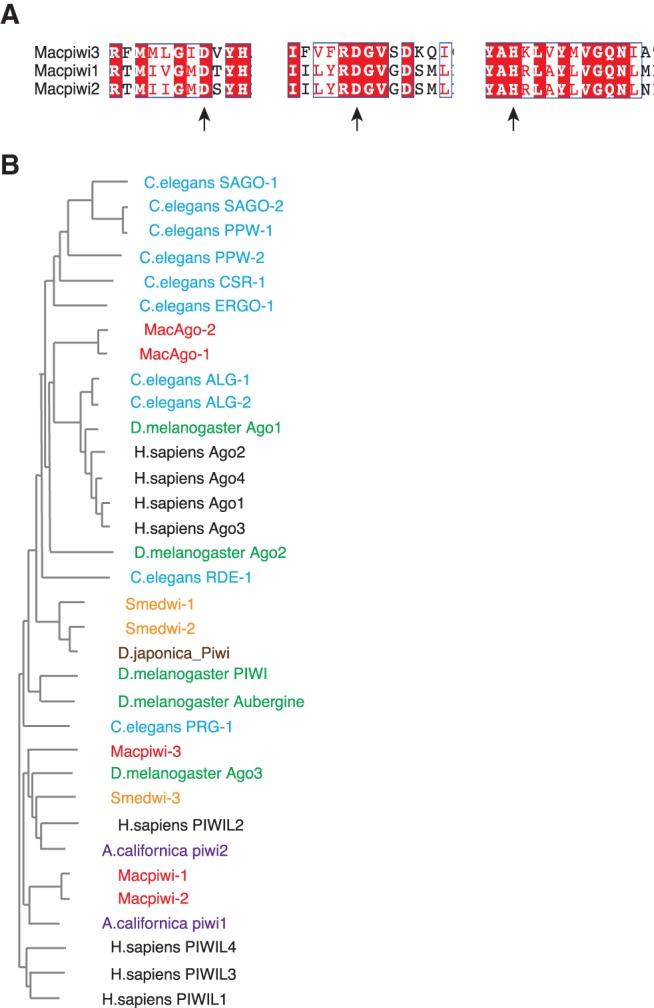 FIGURE 1.