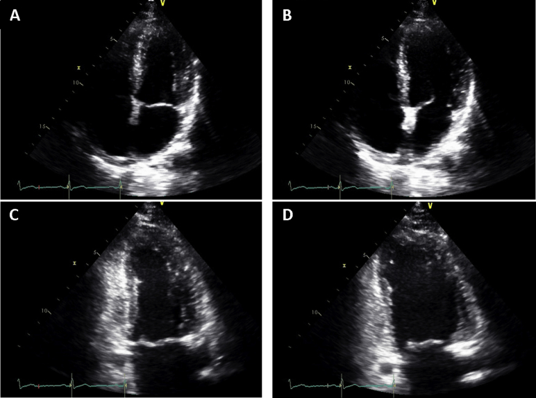 Figure 5