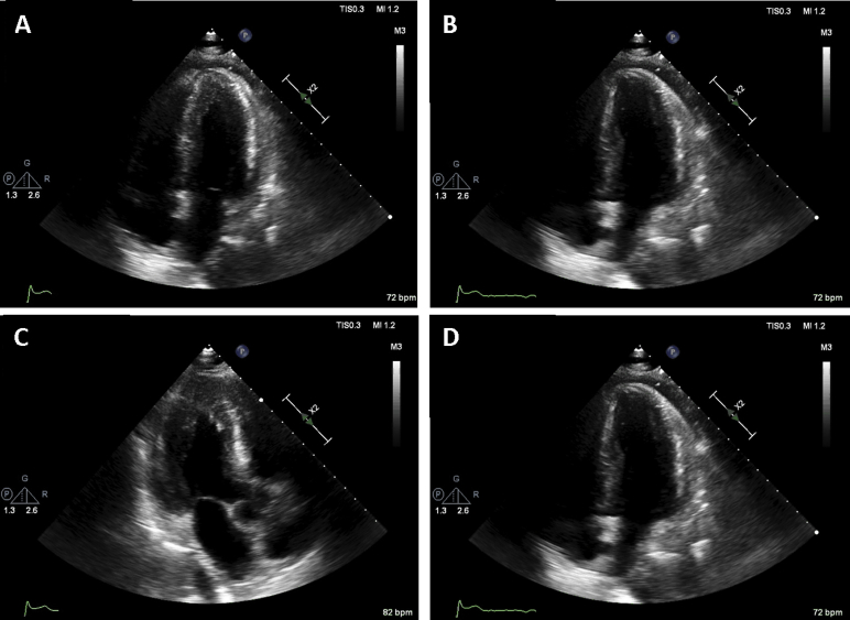 Figure 3