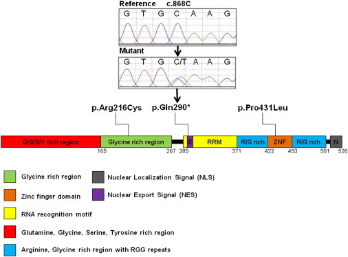 Figure 1