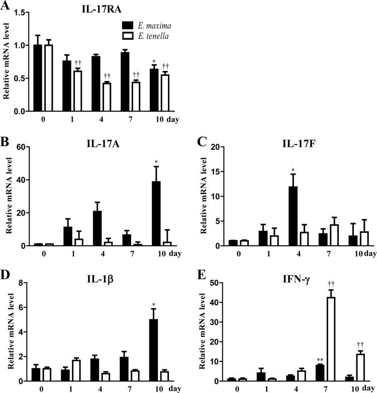 FIG 6