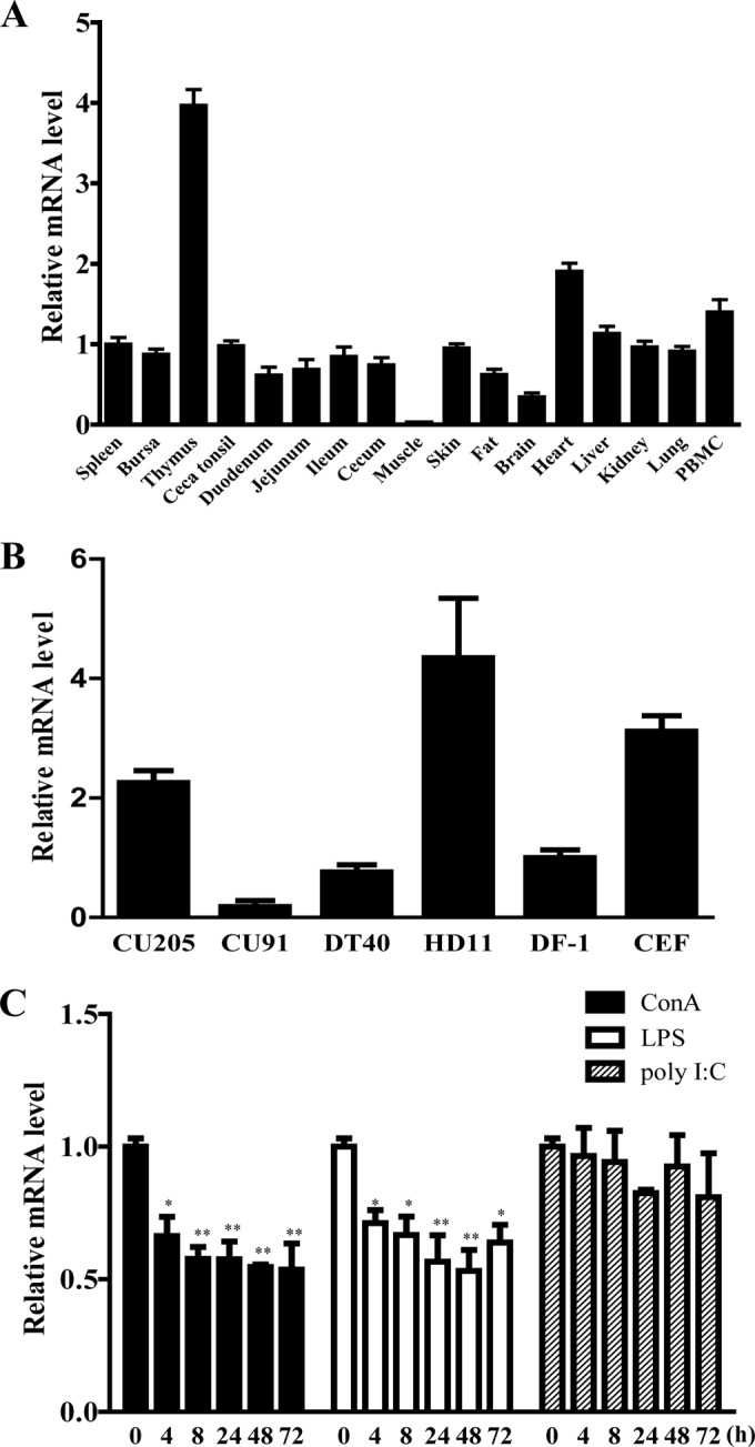 FIG 2