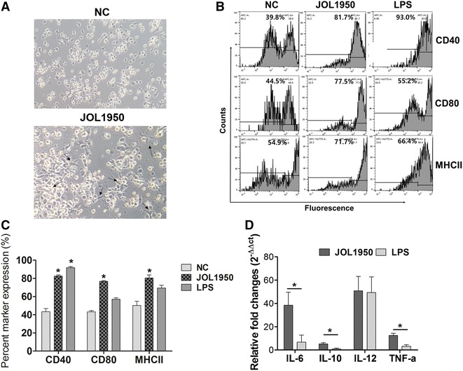 Figure 6