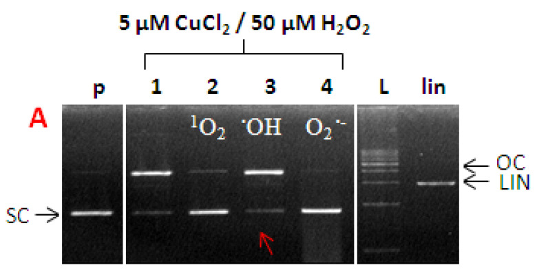 Figure 8