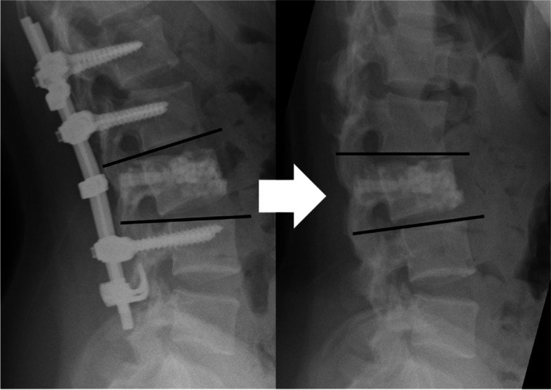 Fig. 4