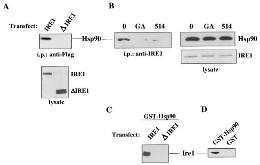 FIG. 1.