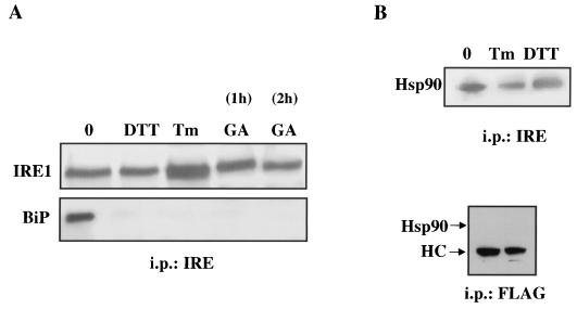 FIG. 5.