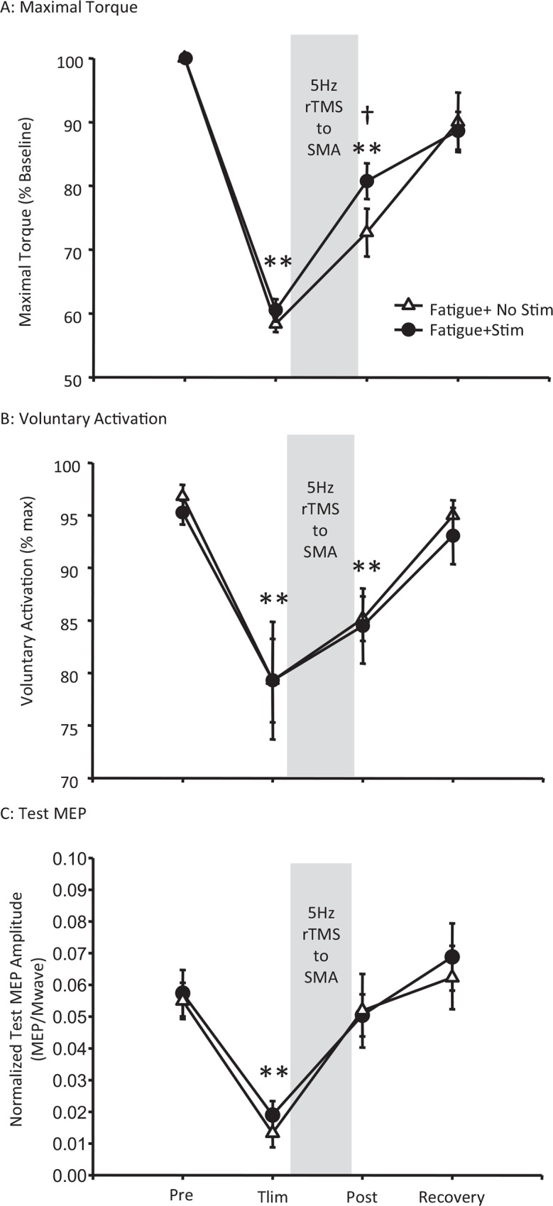 Fig 5