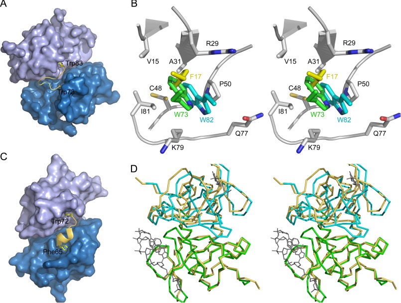 FIGURE 7.