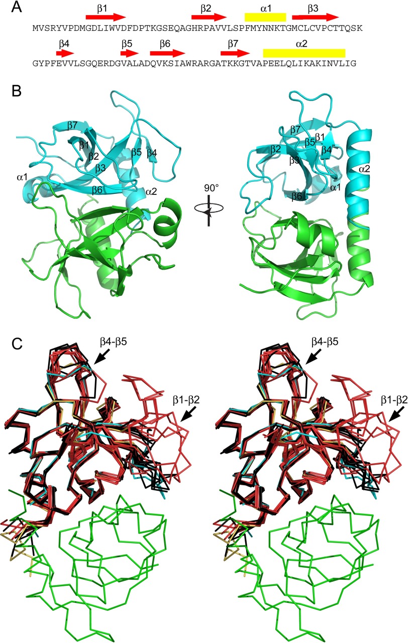 FIGURE 1.