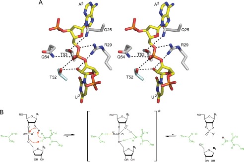 FIGURE 4.