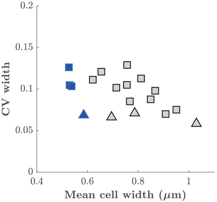 Figure 2—figure supplement 2.