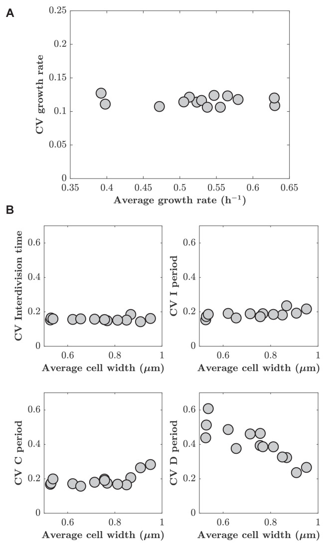Figure 2—figure supplement 4.