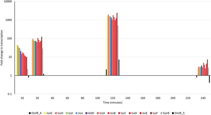 FIGURE 2