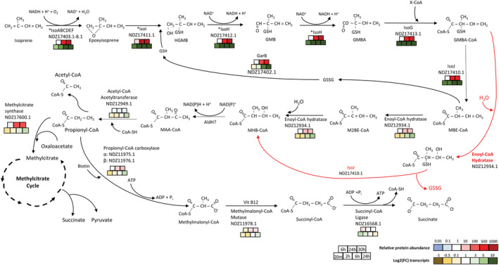 FIGURE 4