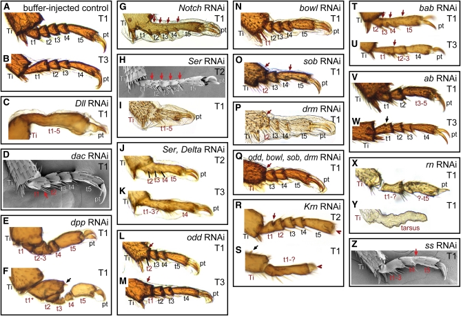 Figure 4 