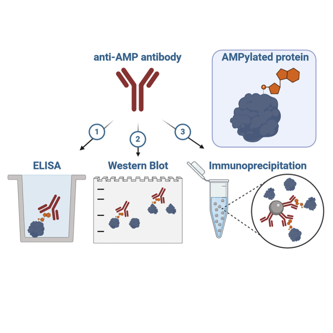 graphic file with name fx1.jpg