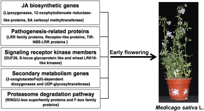 Fig. 11