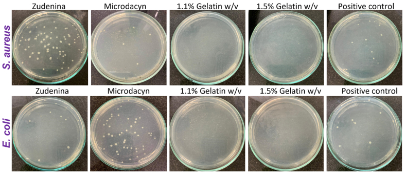 Figure 12