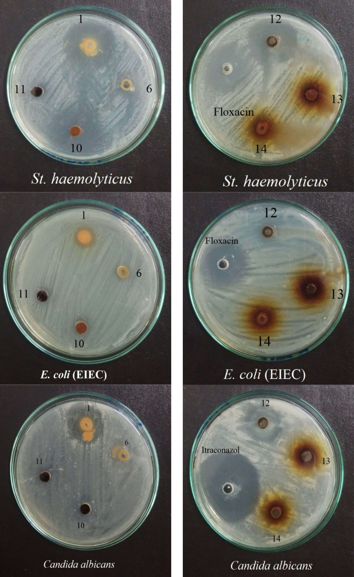 Fig. 10