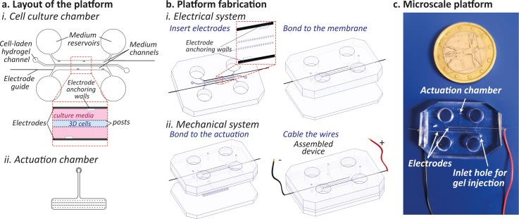 FIG. 1.