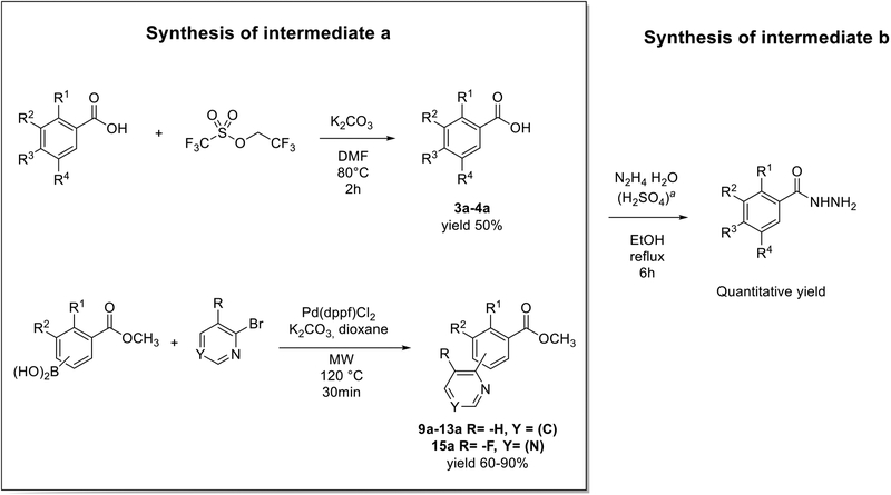 Scheme 3.