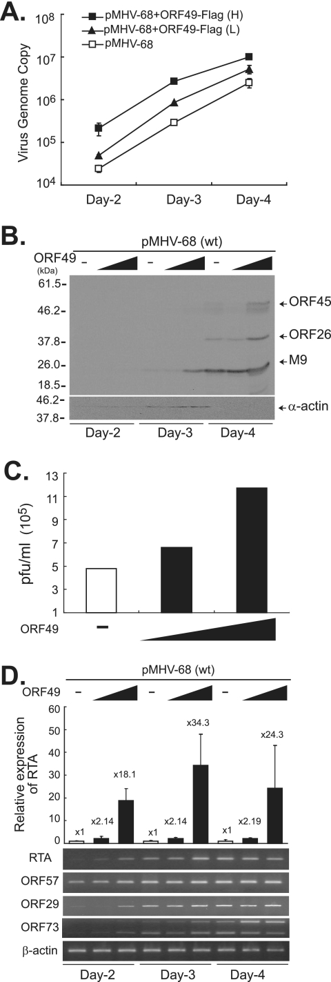 FIG. 6.