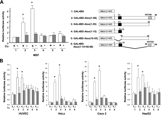 FIGURE 4.