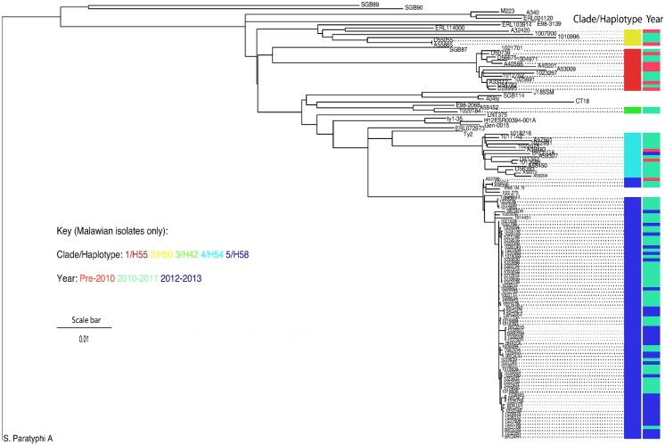 Fig 3