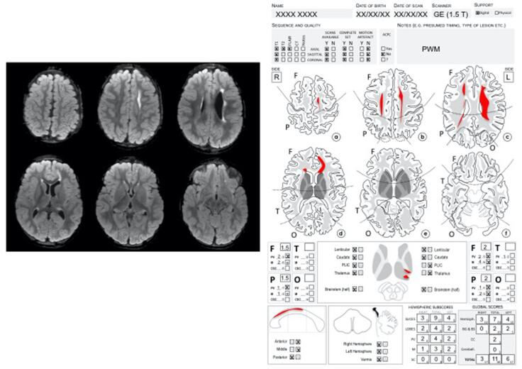 Supplementary Fig. 1