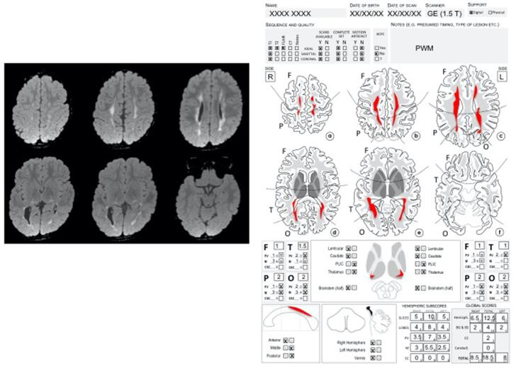 Supplementary Fig. 2