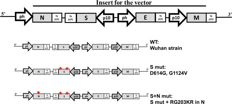 FIG 1