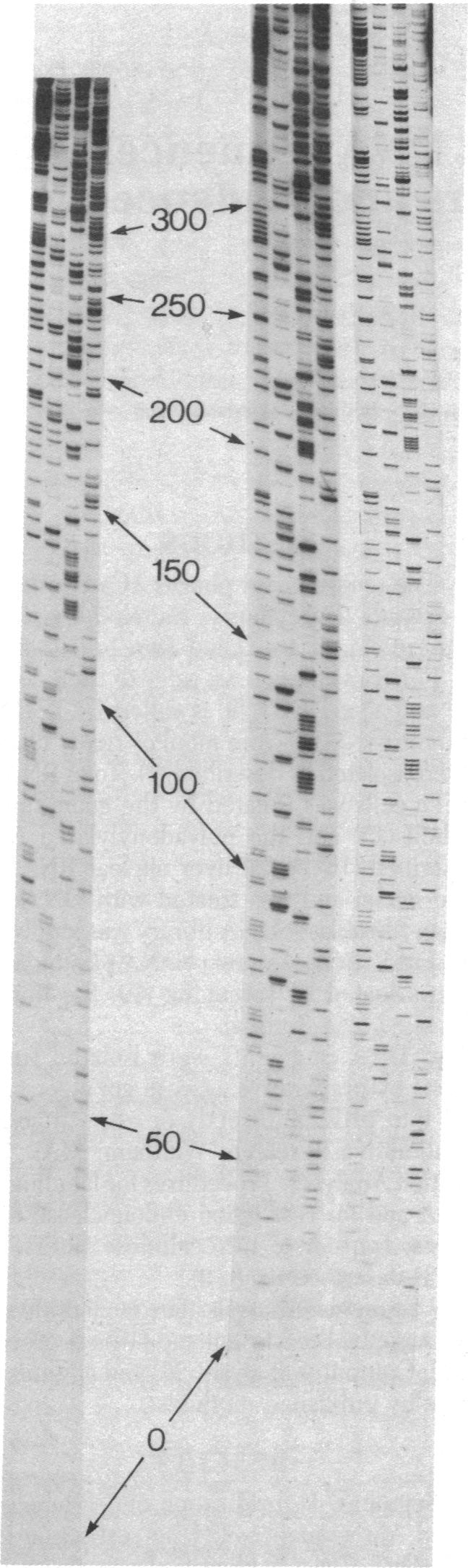 graphic file with name pnas00639-0094-a.jpg