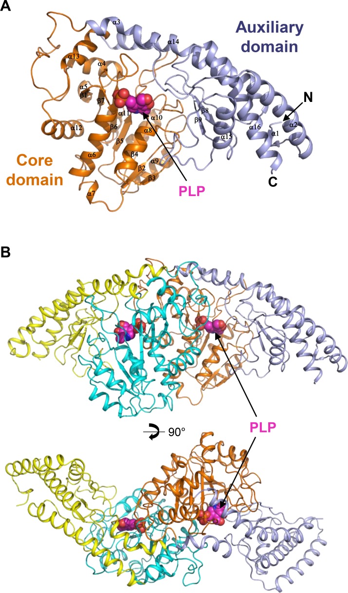 Fig 2