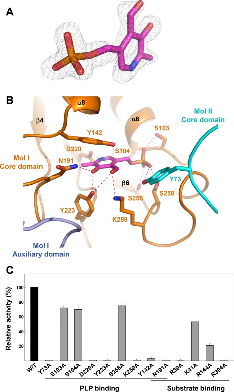 Fig 3