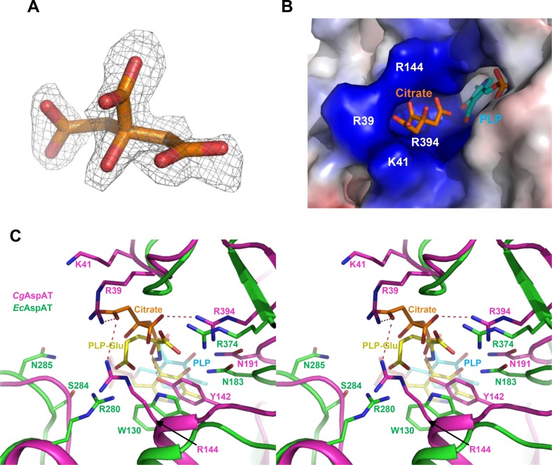 Fig 4