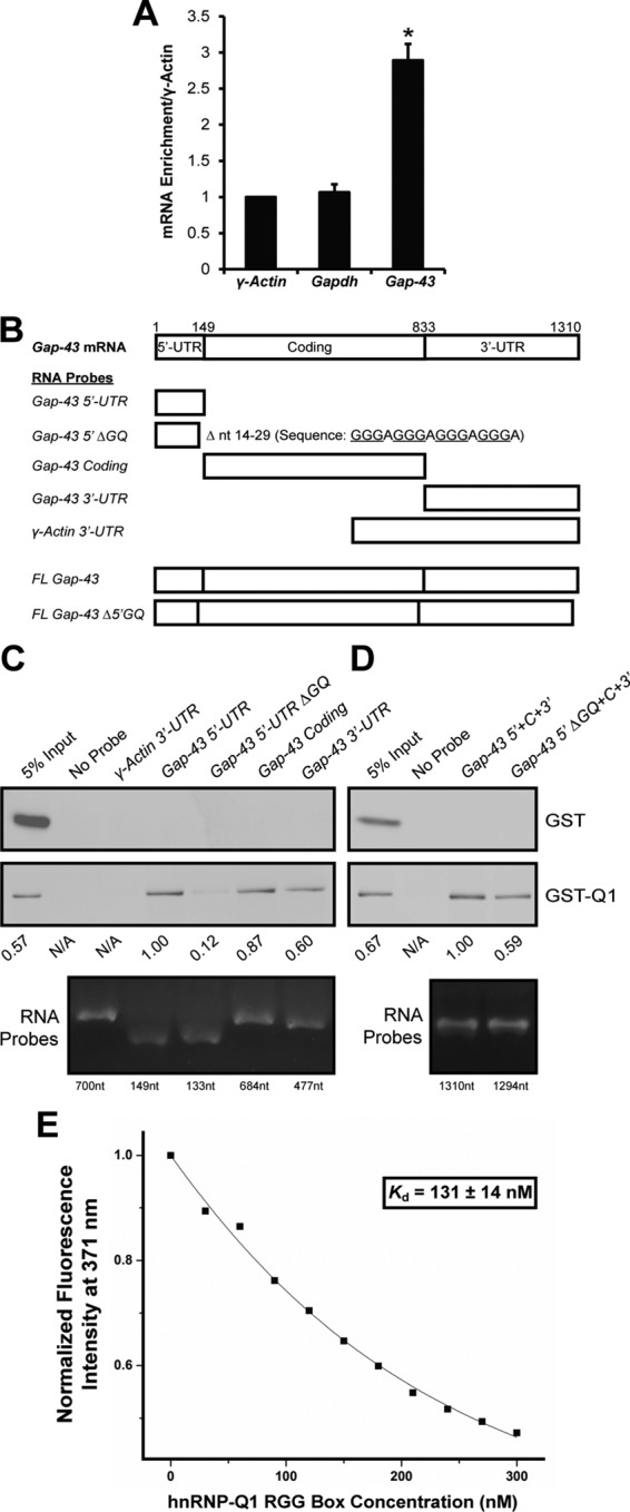 FIGURE 5: