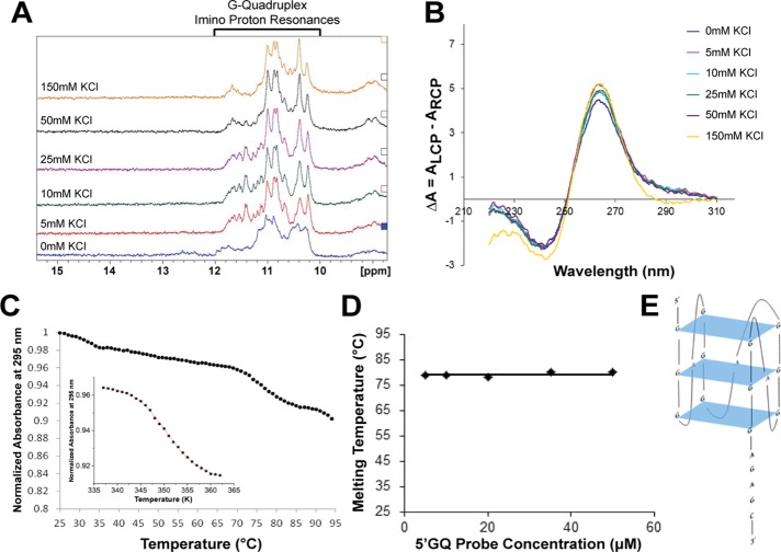 FIGURE 6: