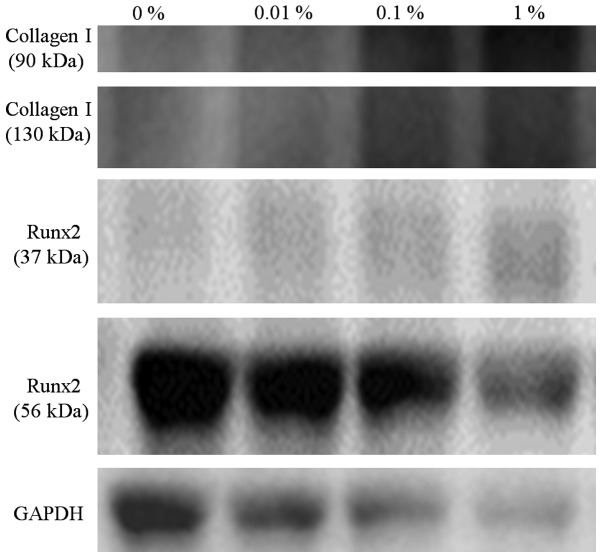 Figure 16.