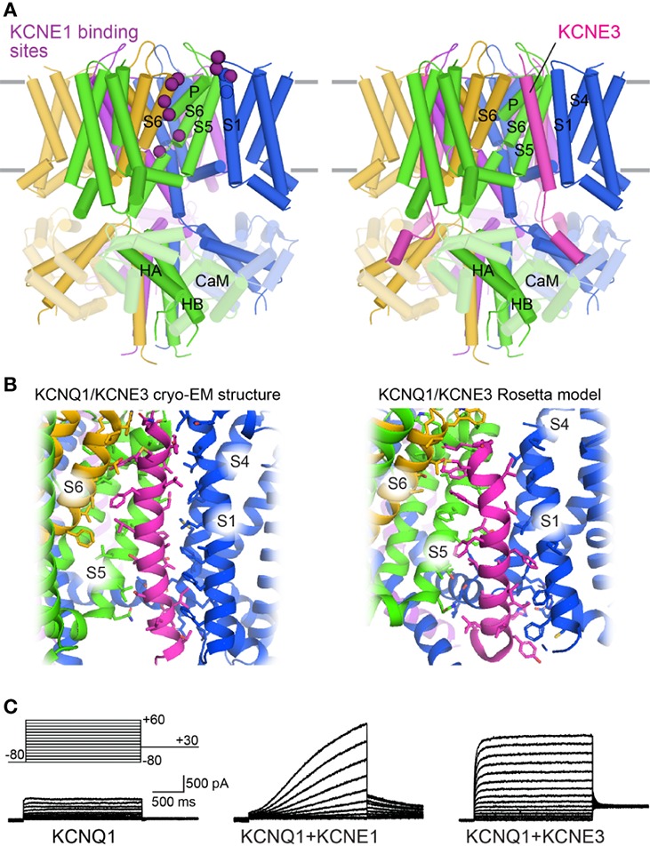 Figure 7