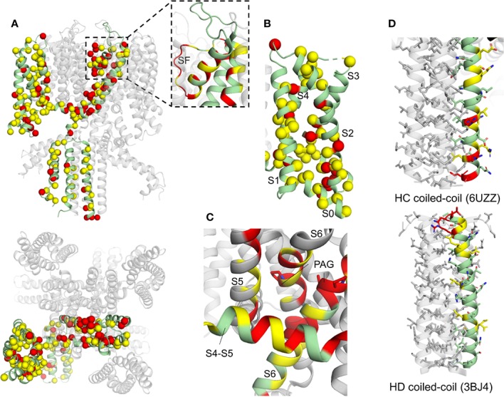 Figure 9