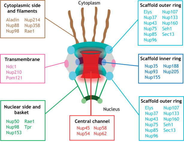 Fig. 1.