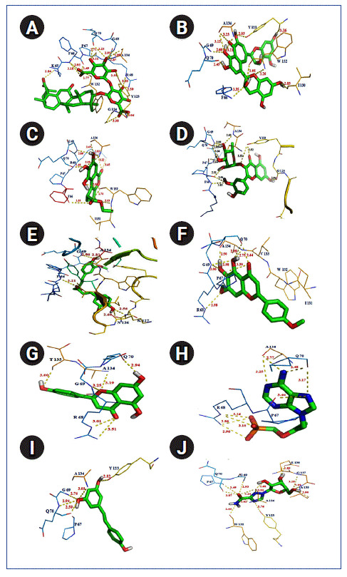 Fig. 6.