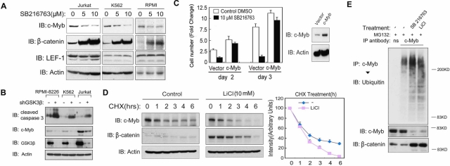 FIGURE 4: